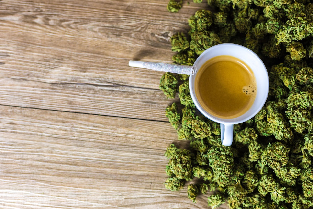 Nouveaux produits CBD à tester en 2025