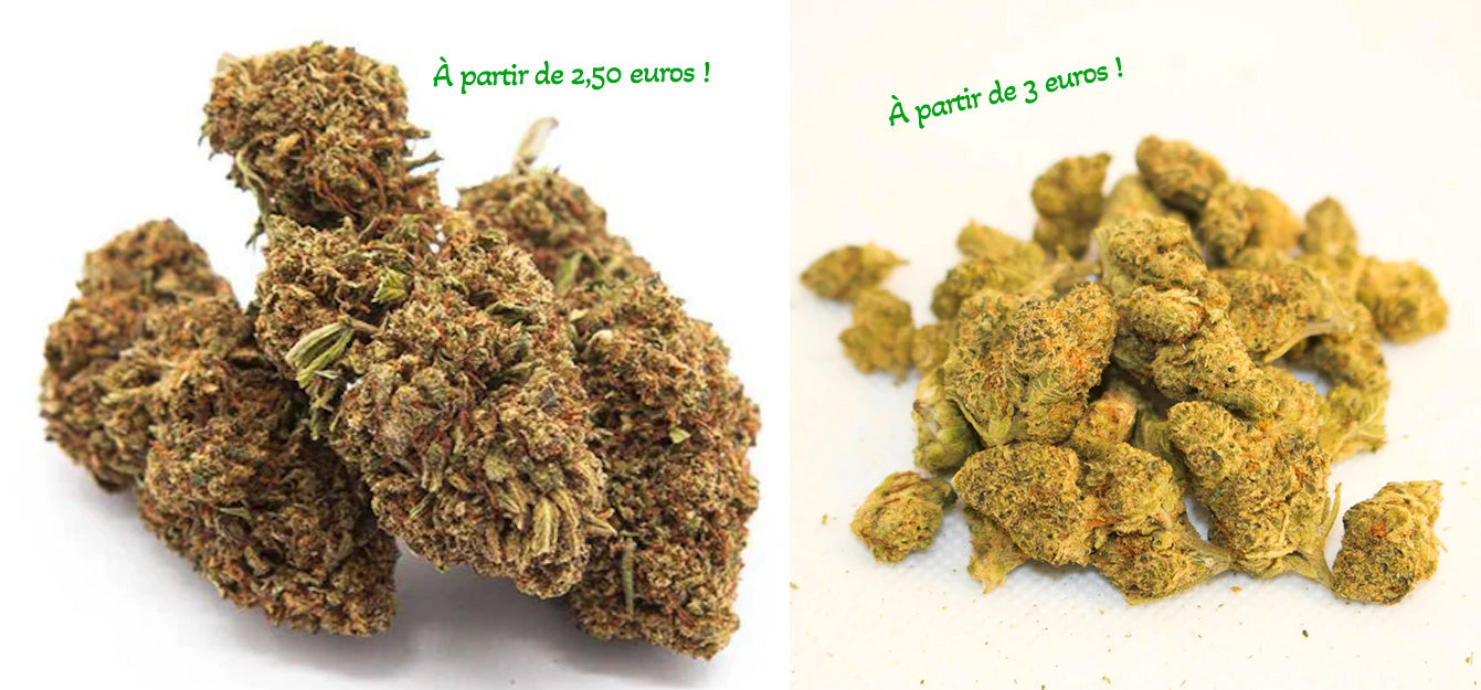 CBD pas cher, peut-on avoir de la qualité à petit prix ?