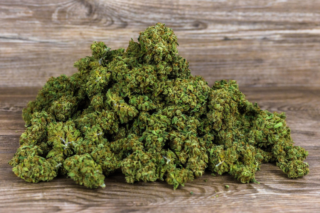 Fleurs de CBD vs Résine, quelles différences et comment choisir ?