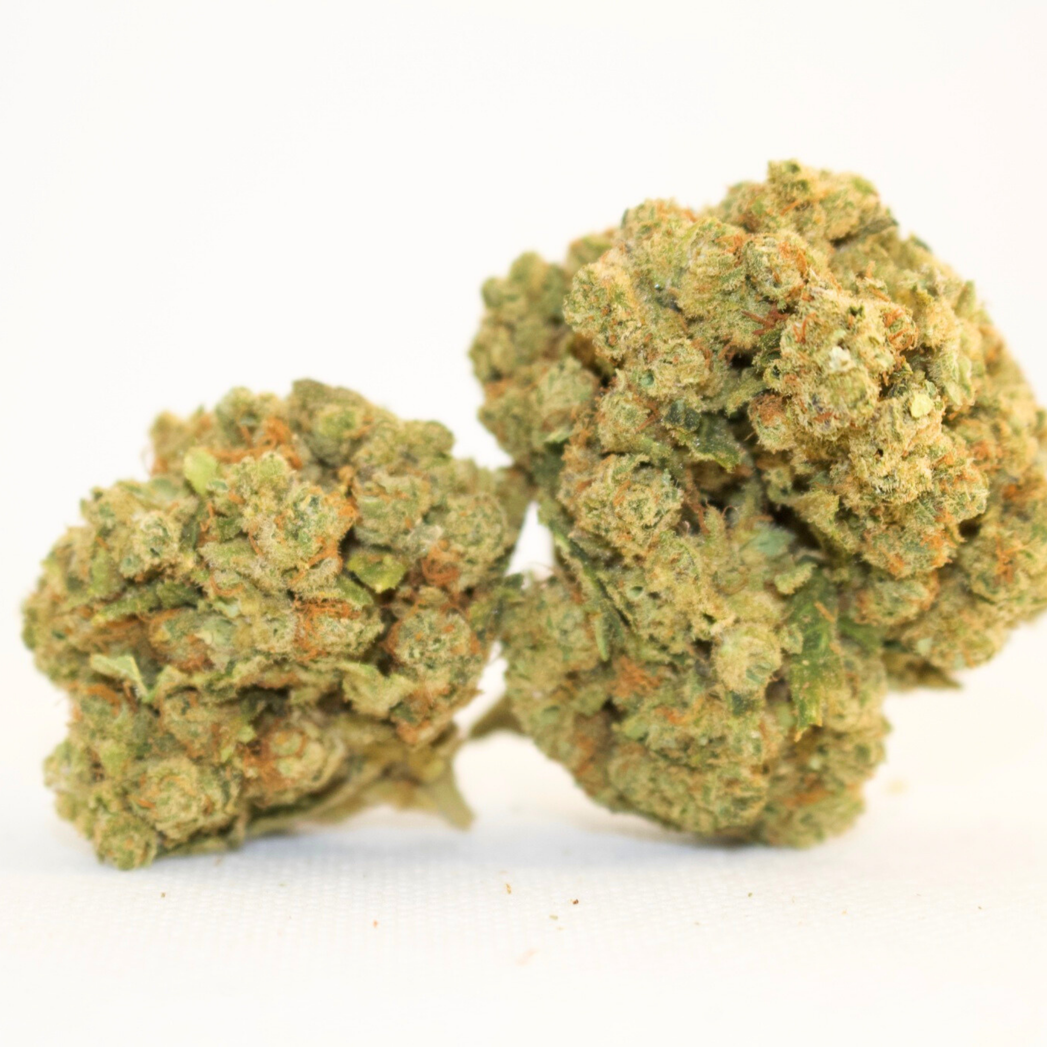 Amnesia Hydro CBD - Tatie Shop