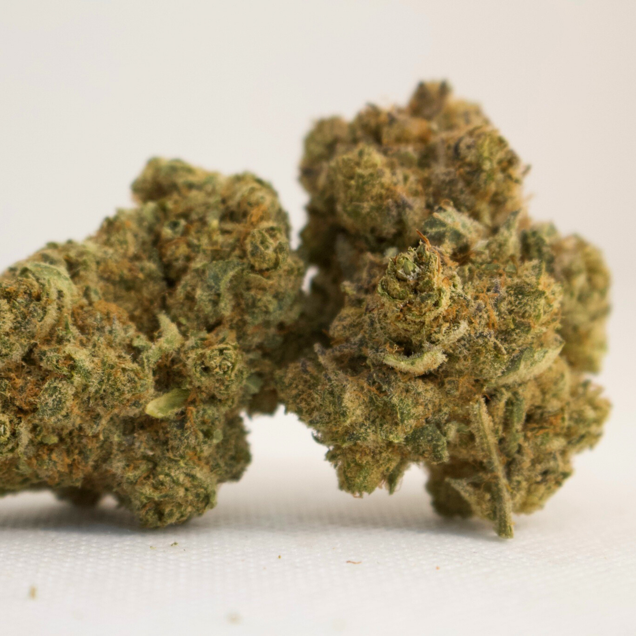 B52 CBD - Tatie Shop
