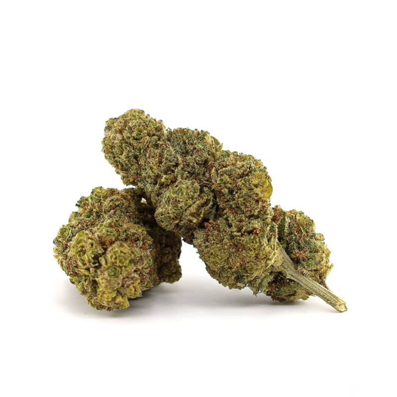 Blue Mango CBD Boostée (dès 8€/g) - Tatie Shop