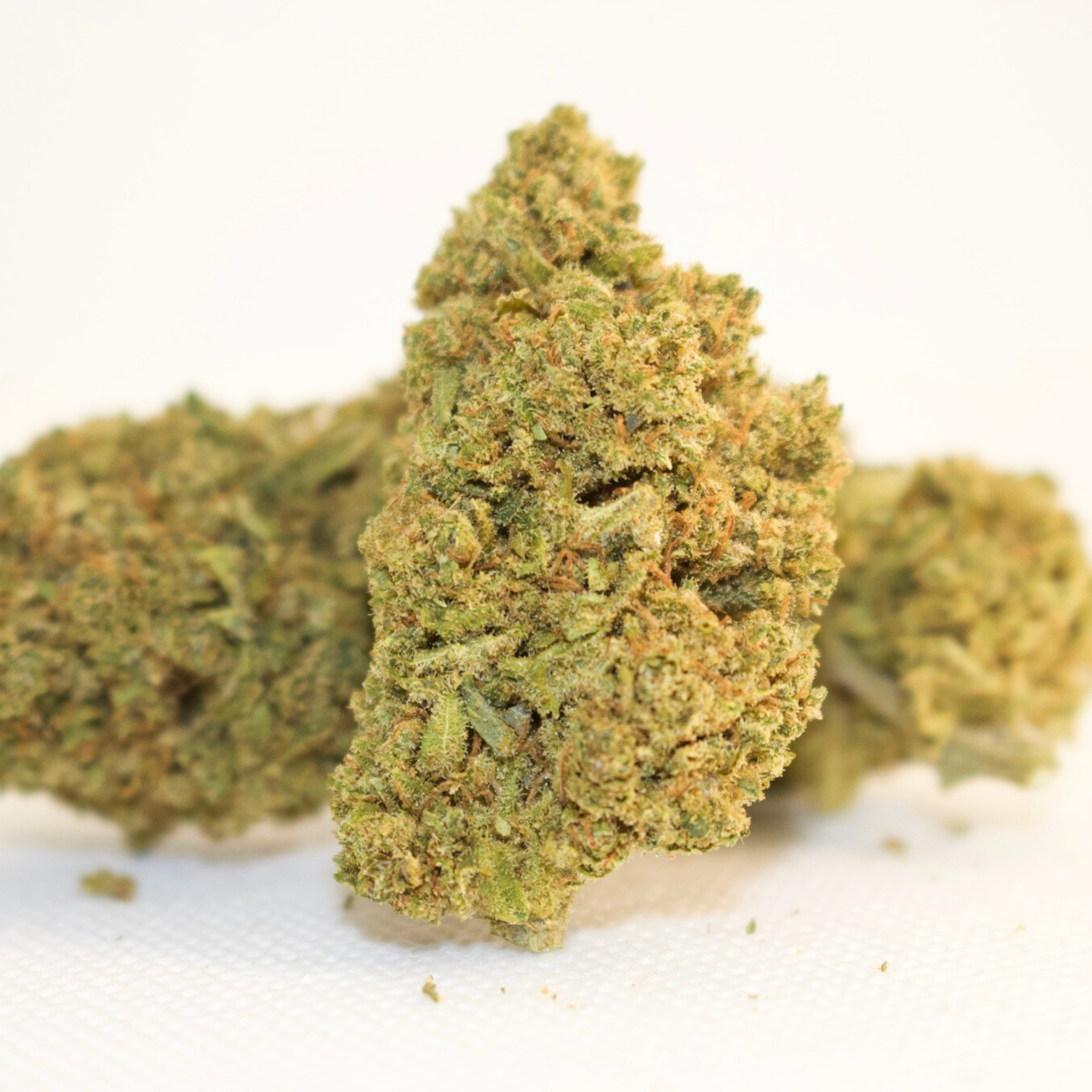 Cannatonic CBD - Tatie Shop