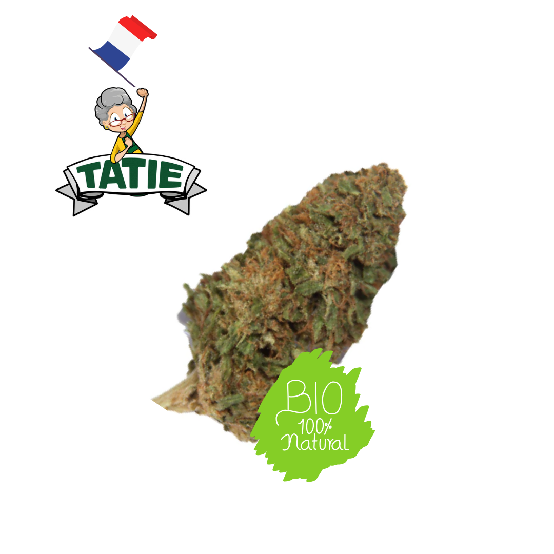 Tropicana - Tatie CBD Shop