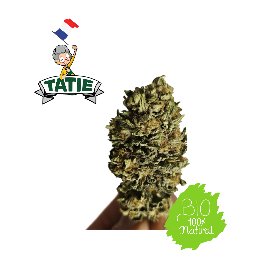 White Diesel CBG - Tatie CBD Shop