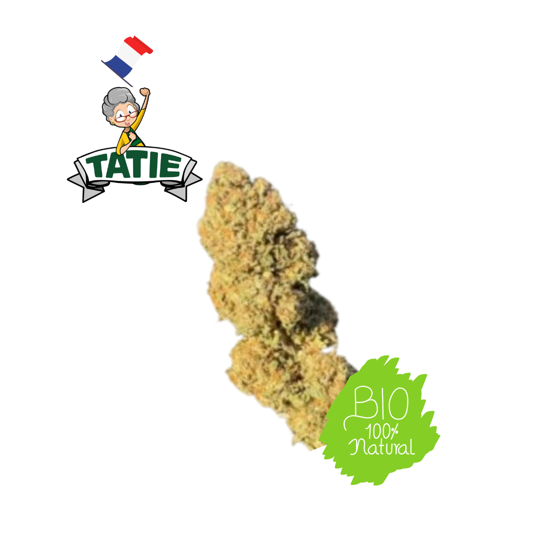 Lemon Cookie Dough - Tatie CBD Shop