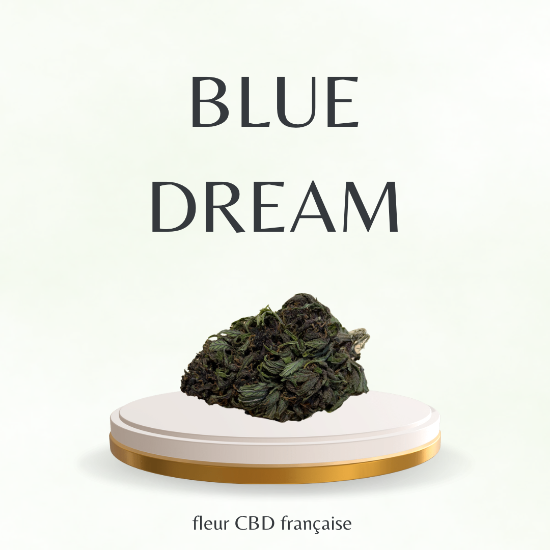 Fleur CBD Française / Blue Dream - Tatie CBD Shop