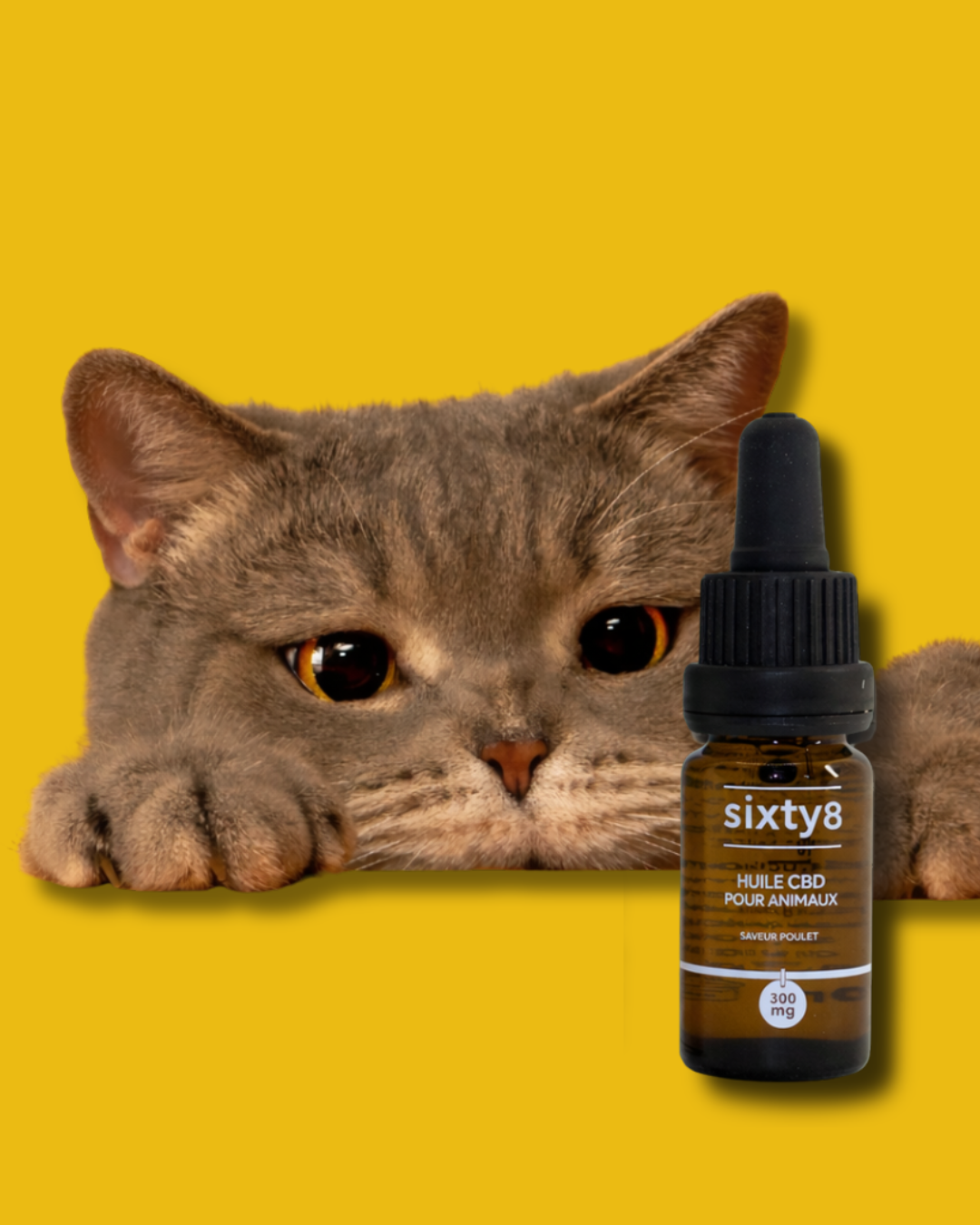 Huile CBD Animaux saveur poisson
