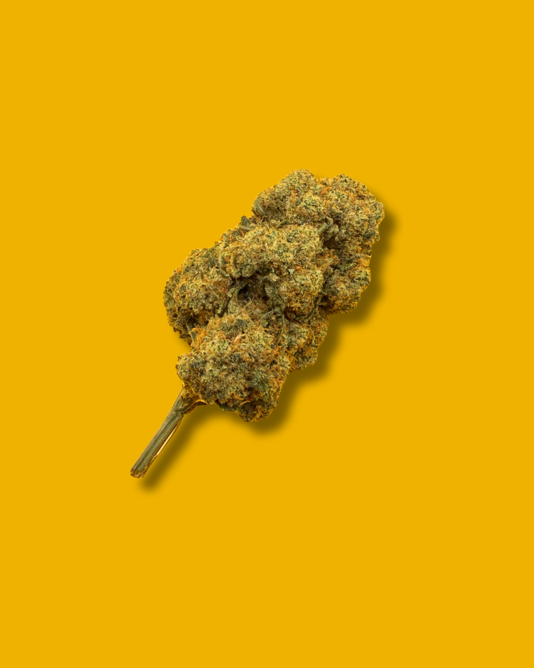 🔥🔥🔥🔥 / AMNÉSIA B30 - Fleur CBD Boostée 🇨🇭
