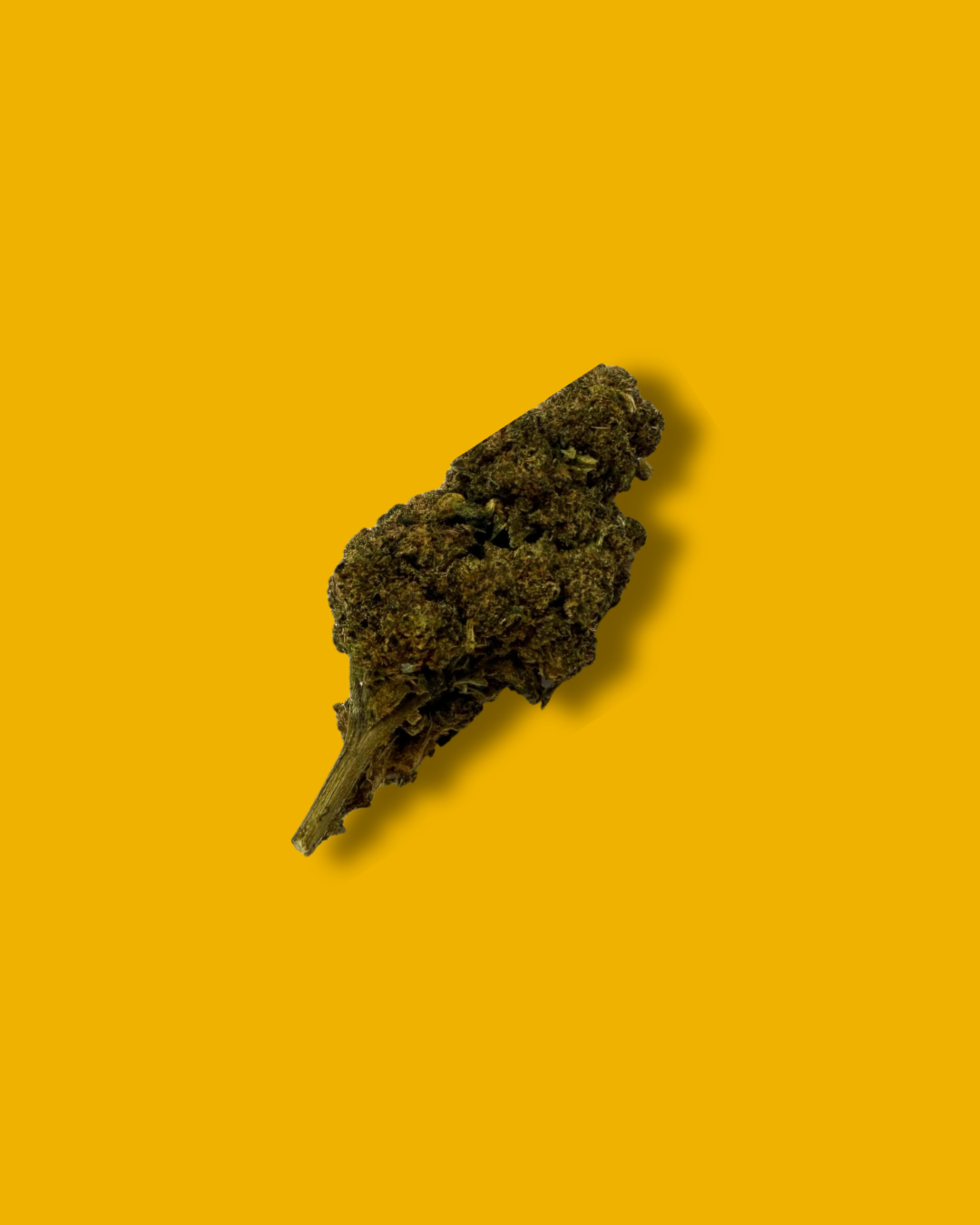 🔥🔥🔥🔥 / TROPICAL BURST D10 - Fleur CBD Boostée 🇨🇭