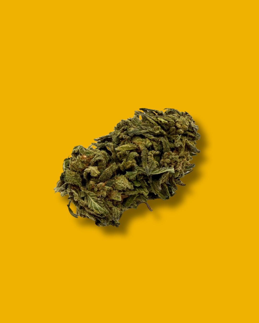 🔥🔥 / LEMON HAZE - Fleur CBD Bio 🇫🇷 - Tatie CBD Shop