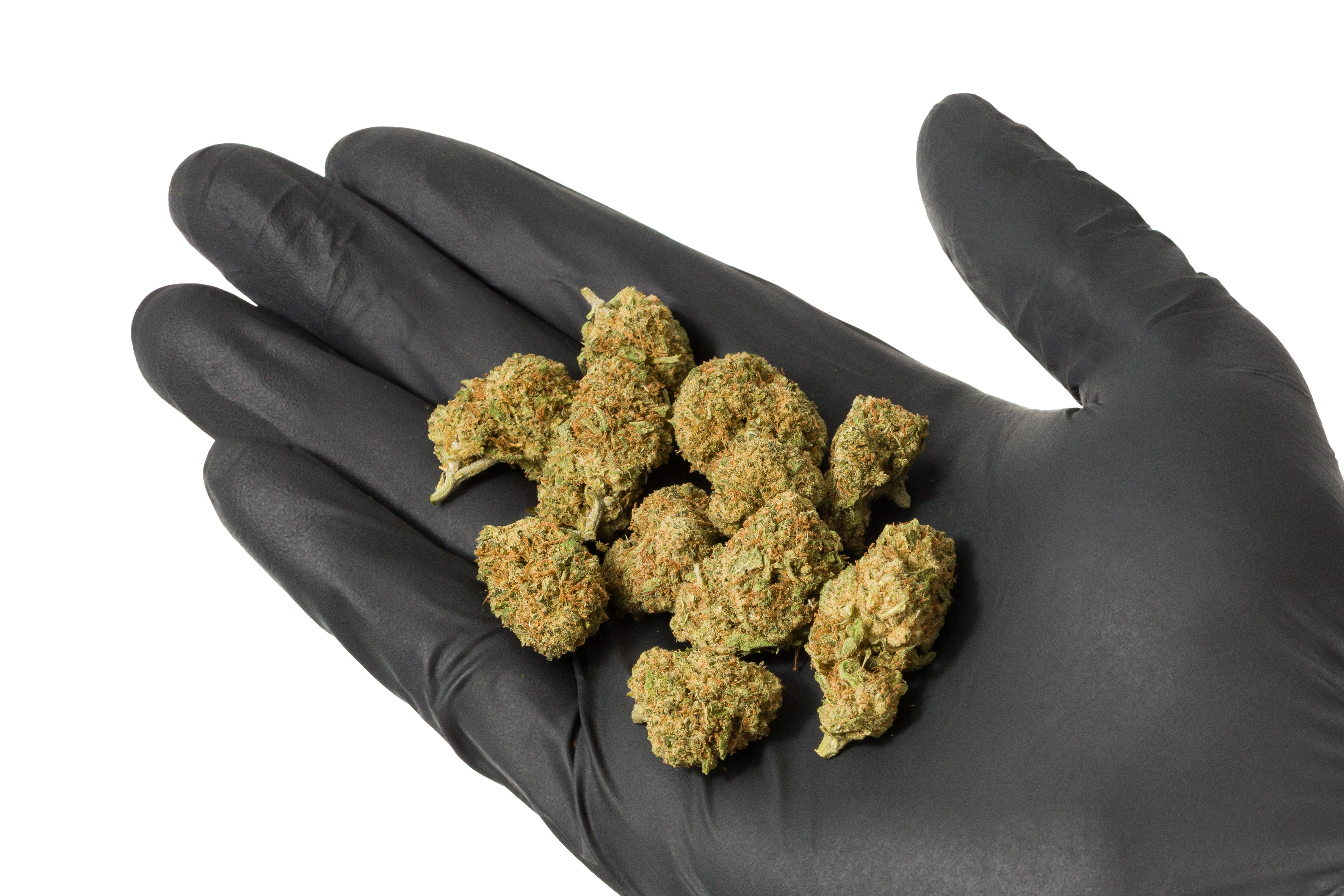 Orange Zkittlez - Tatie CBD Shop