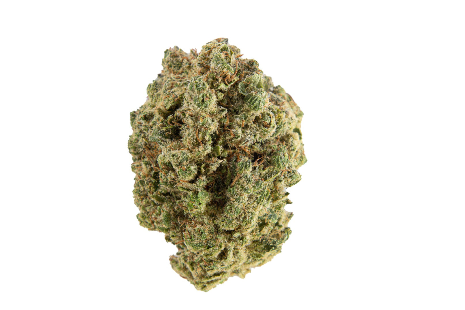 Rainbow Gelato Premium - Tatie CBD Shop