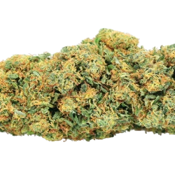 OG Cali - Premium - (à partir de 4,80€ le gr)