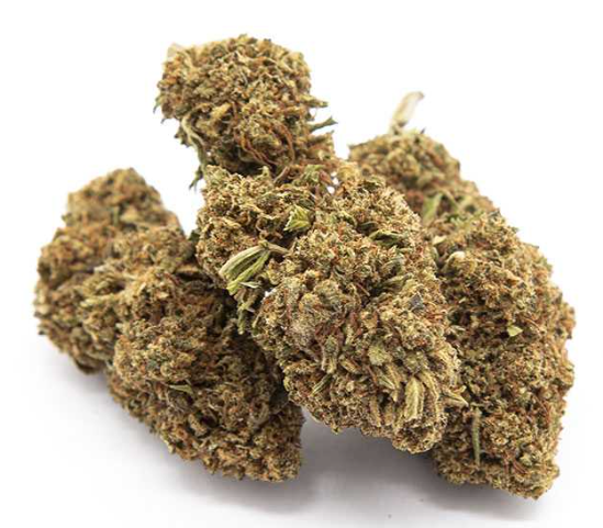 Gorilla Glue Green House
