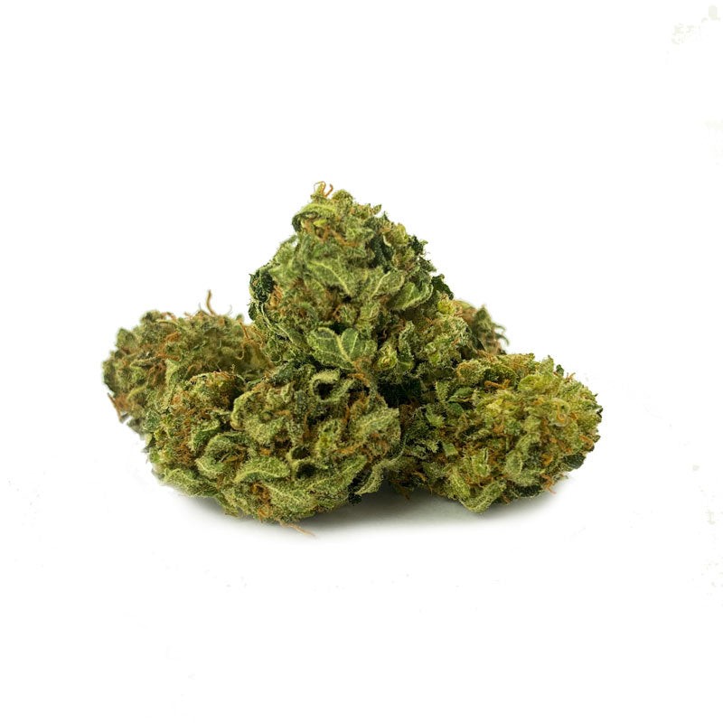 Mimosa - Tatie CBD Shop