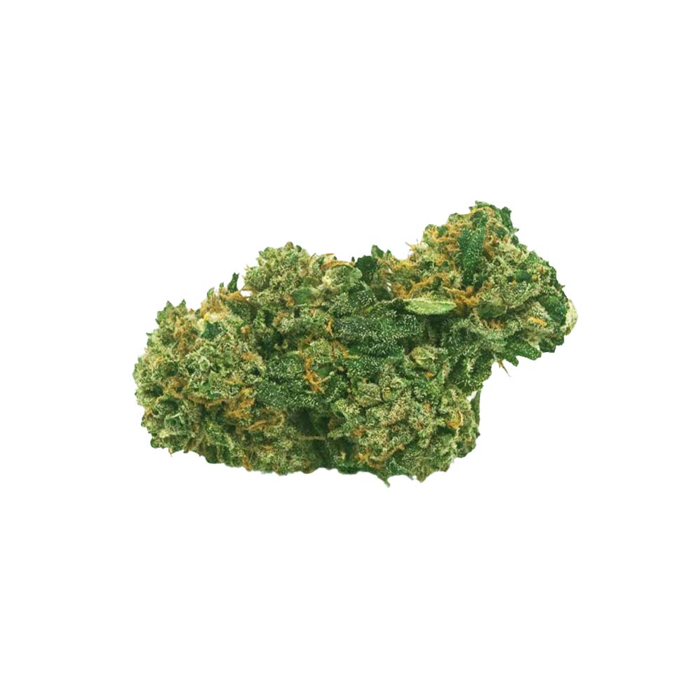 Power Plante - Green Housse