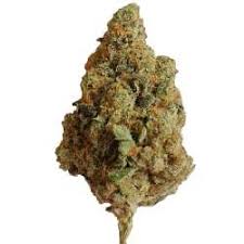 White Melon
