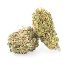 White Rino - Tatie CBD Shop