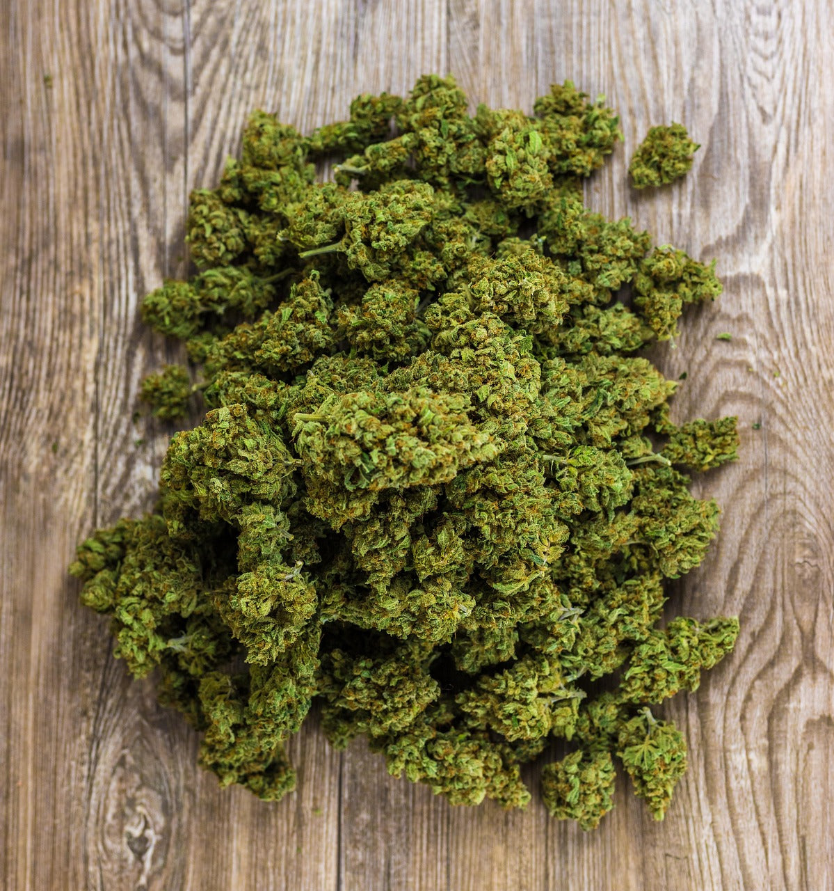 Comment prolonger la fraîcheur de vos fleurs de CBD  ?