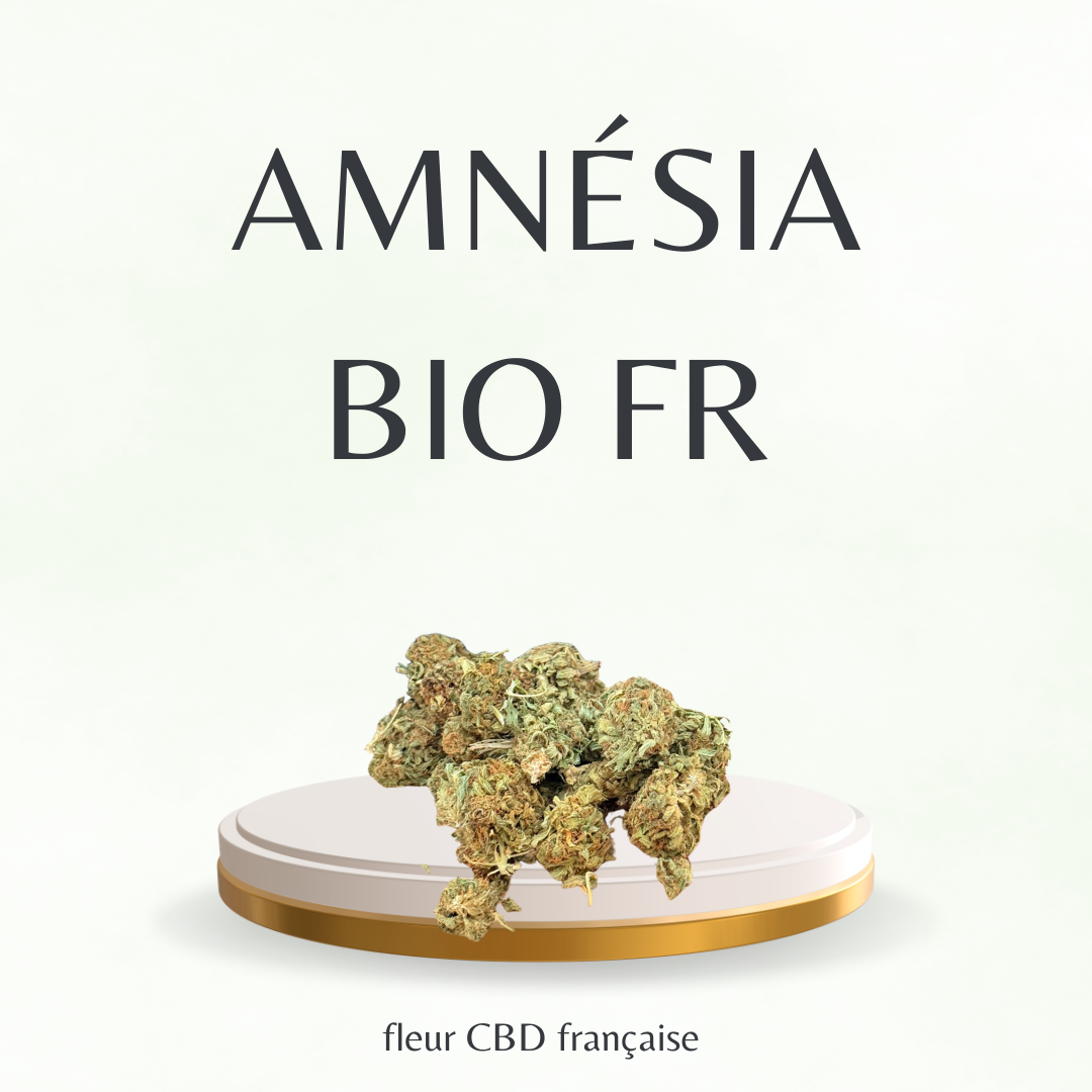 Fleur CBD Française / Amnésia Bio FR