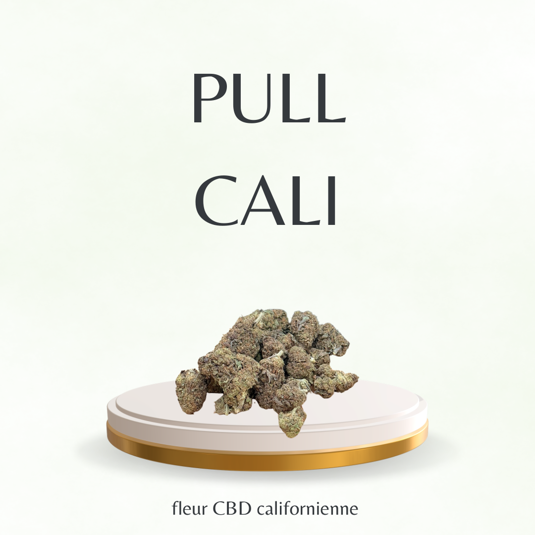 Fleur CBD Californienne / Pull Cali