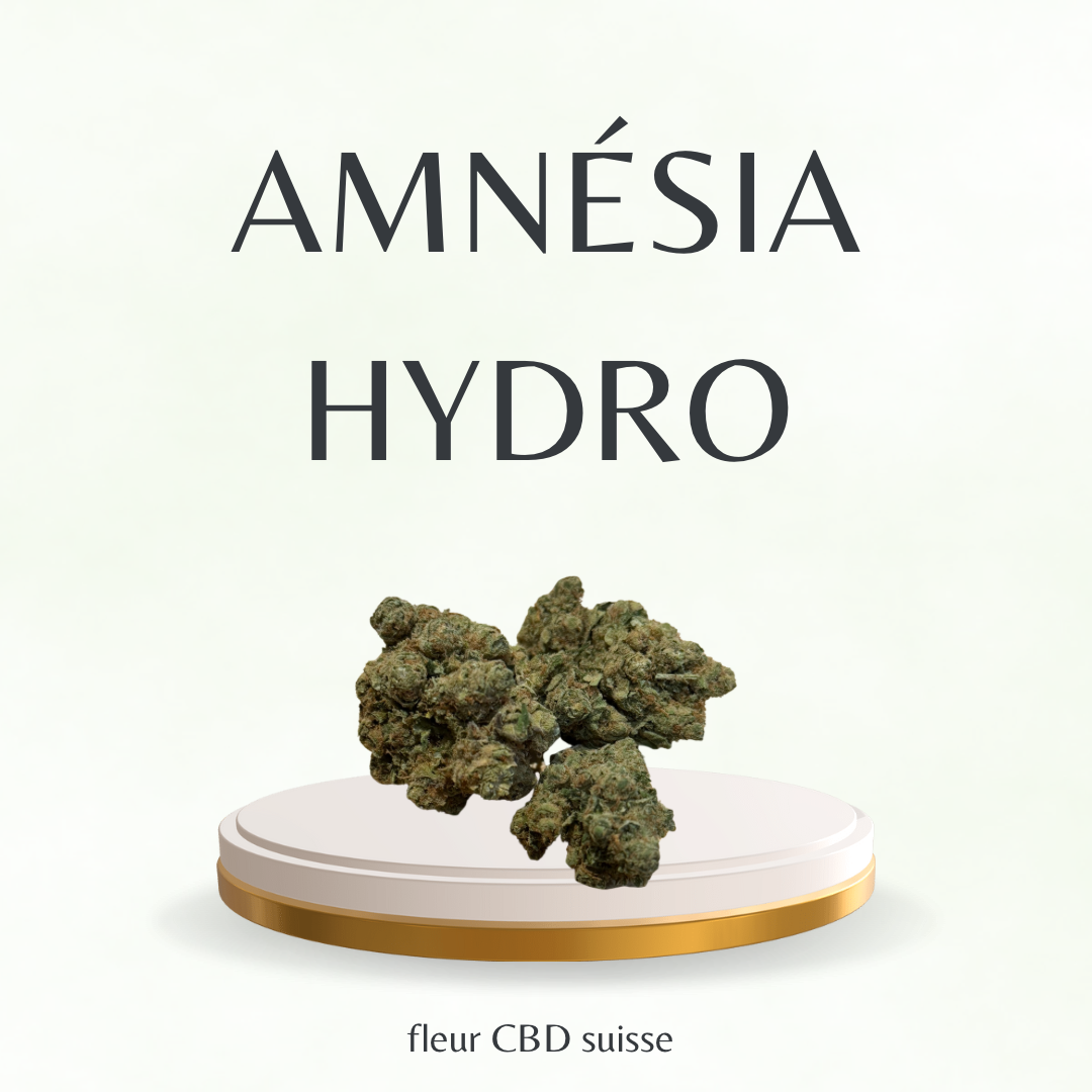 Fleur CBD Suisse / Amnésia Hydro - Tatie CBD Shop