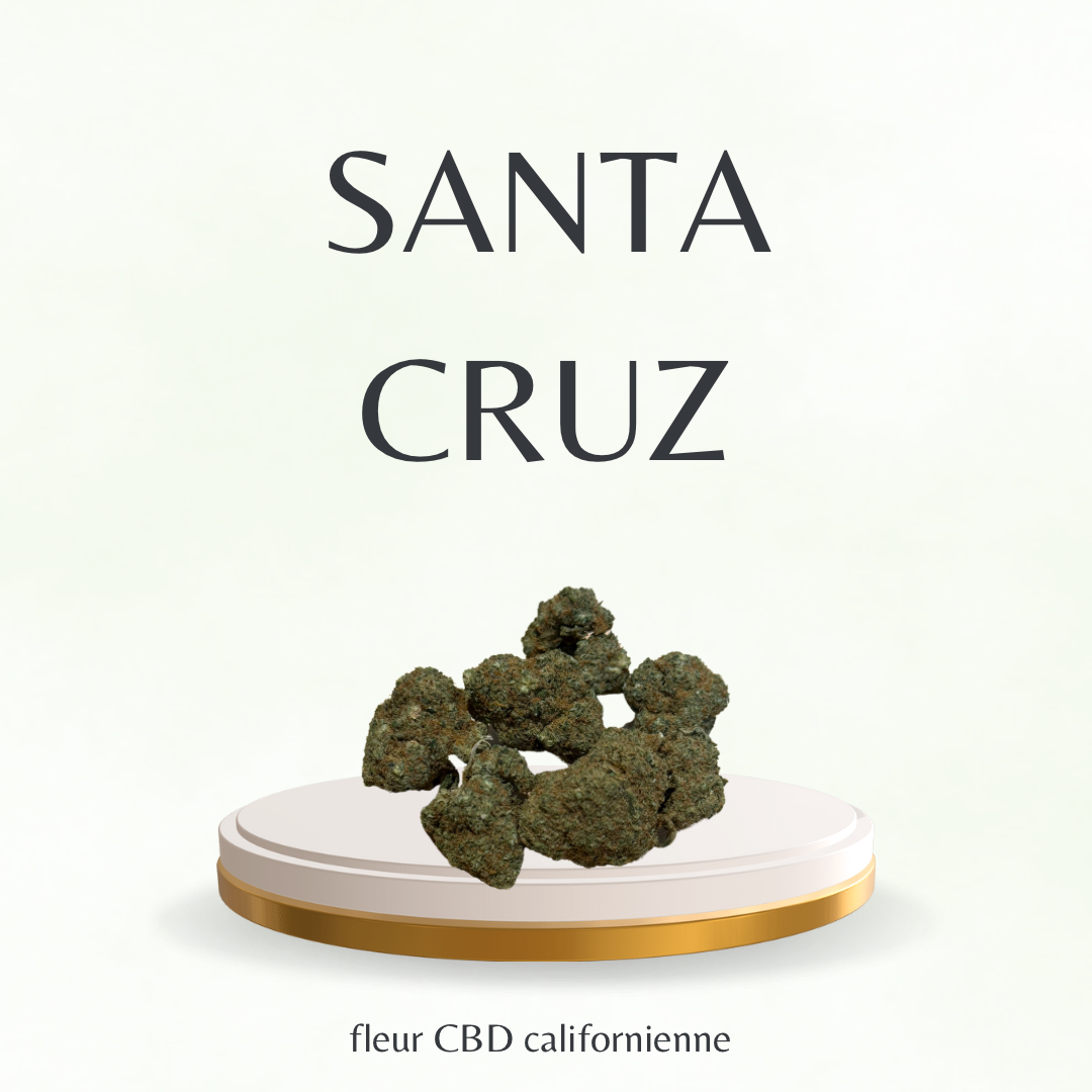Fleur CBD Californienne / Santa Cruz - Tatie CBD Shop