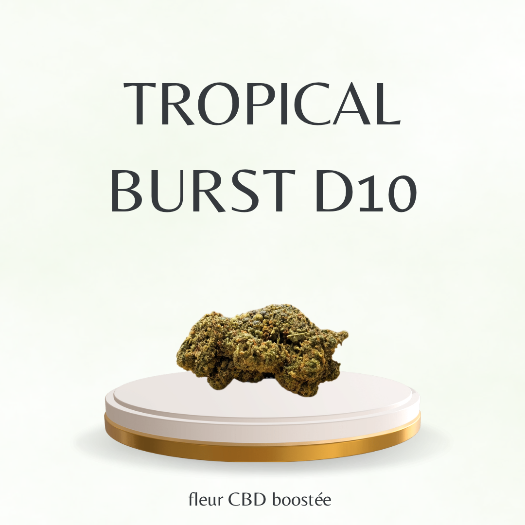 Fleur CBD Boostée / Tropical Burst D10 - Tatie CBD Shop