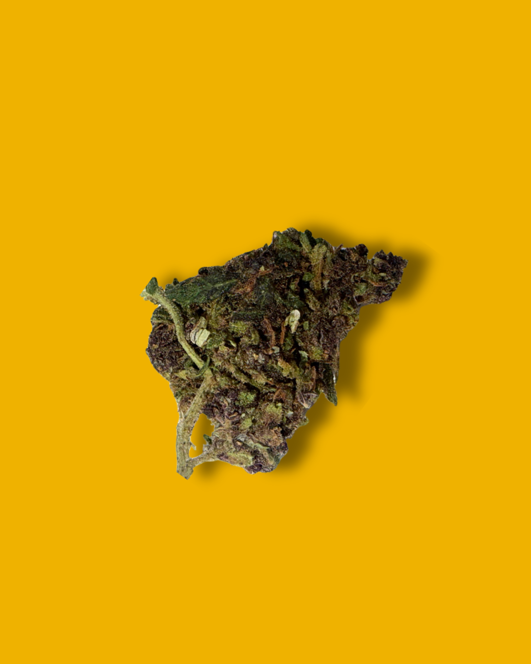 🔥🔥🔥🔥🔥 / DARK BLOOM D10 - Fleur CBD Boostée 🇨🇭 - Tatie CBD Shop