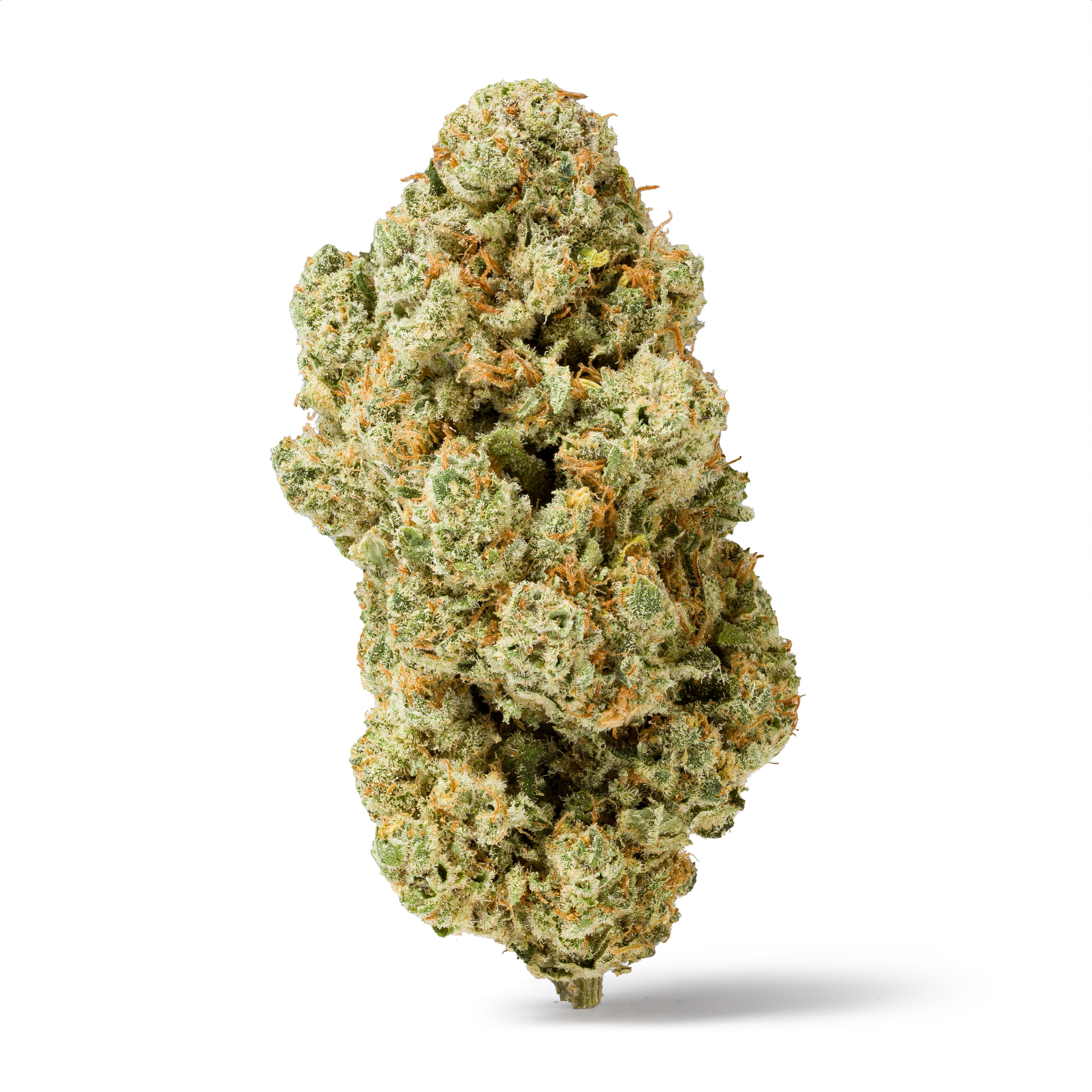 Super Royal Haze CBD 3,5%  👑  BEST SELLER - Tatie Shop