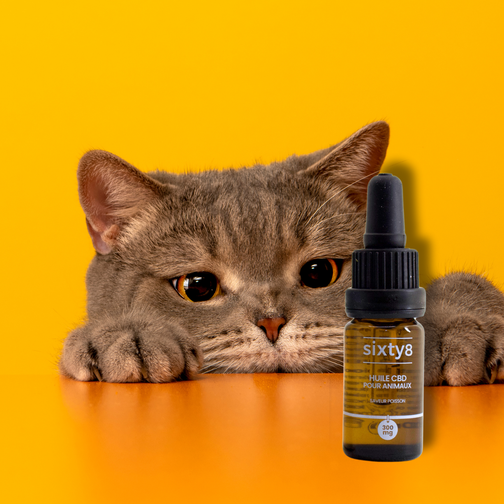 Huile CBD pour Animaux au poisson - Tatie Shop