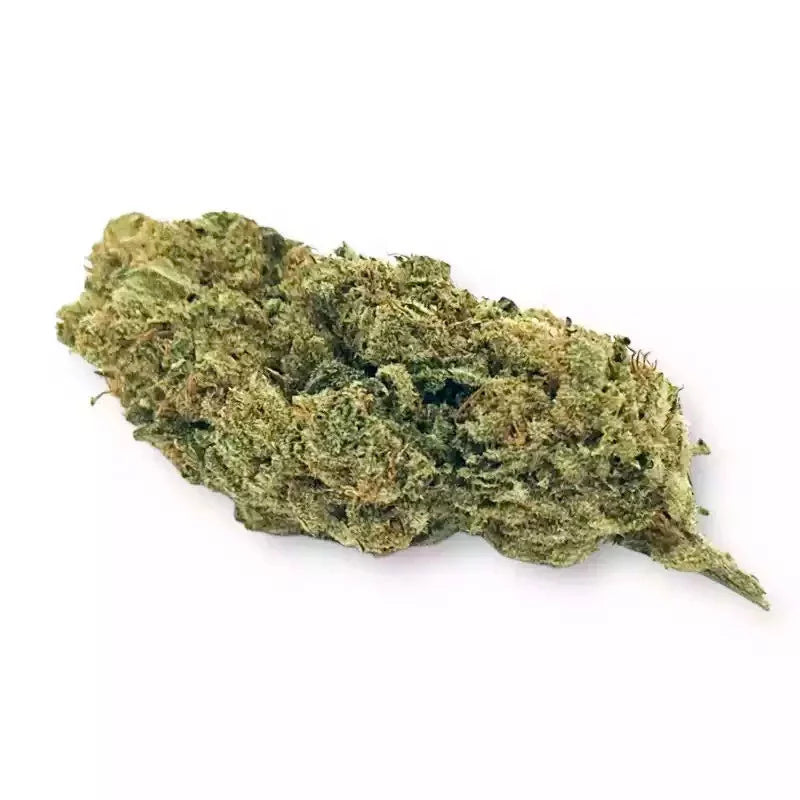 Amnésia - Green House - Bio France