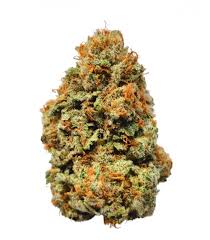 Orange Gelato