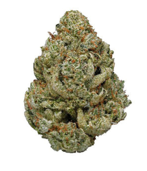 VANILLA KUSH